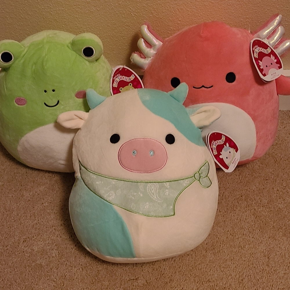 Valentine squishmallow